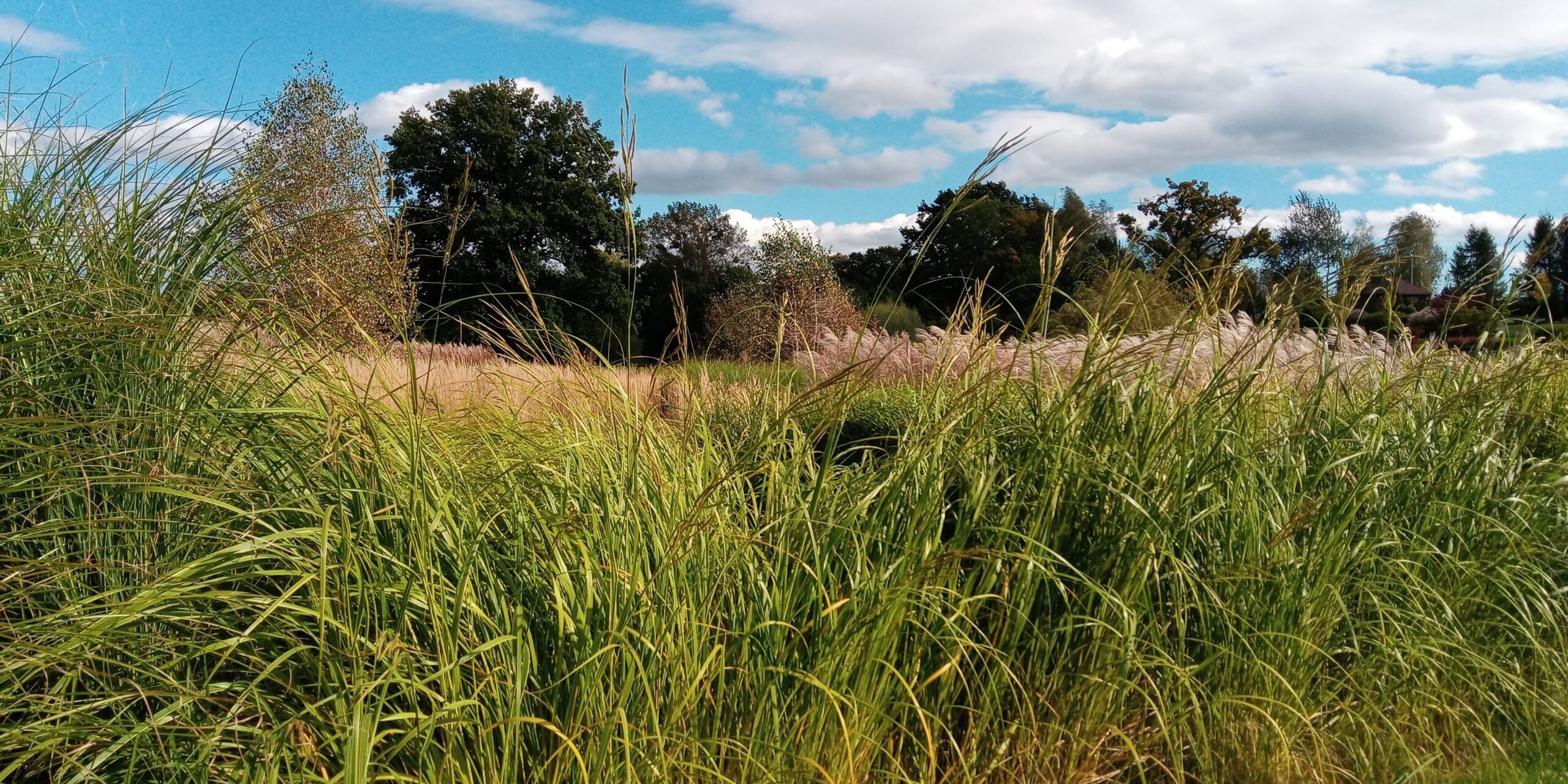 20201004_134509_HDR-2