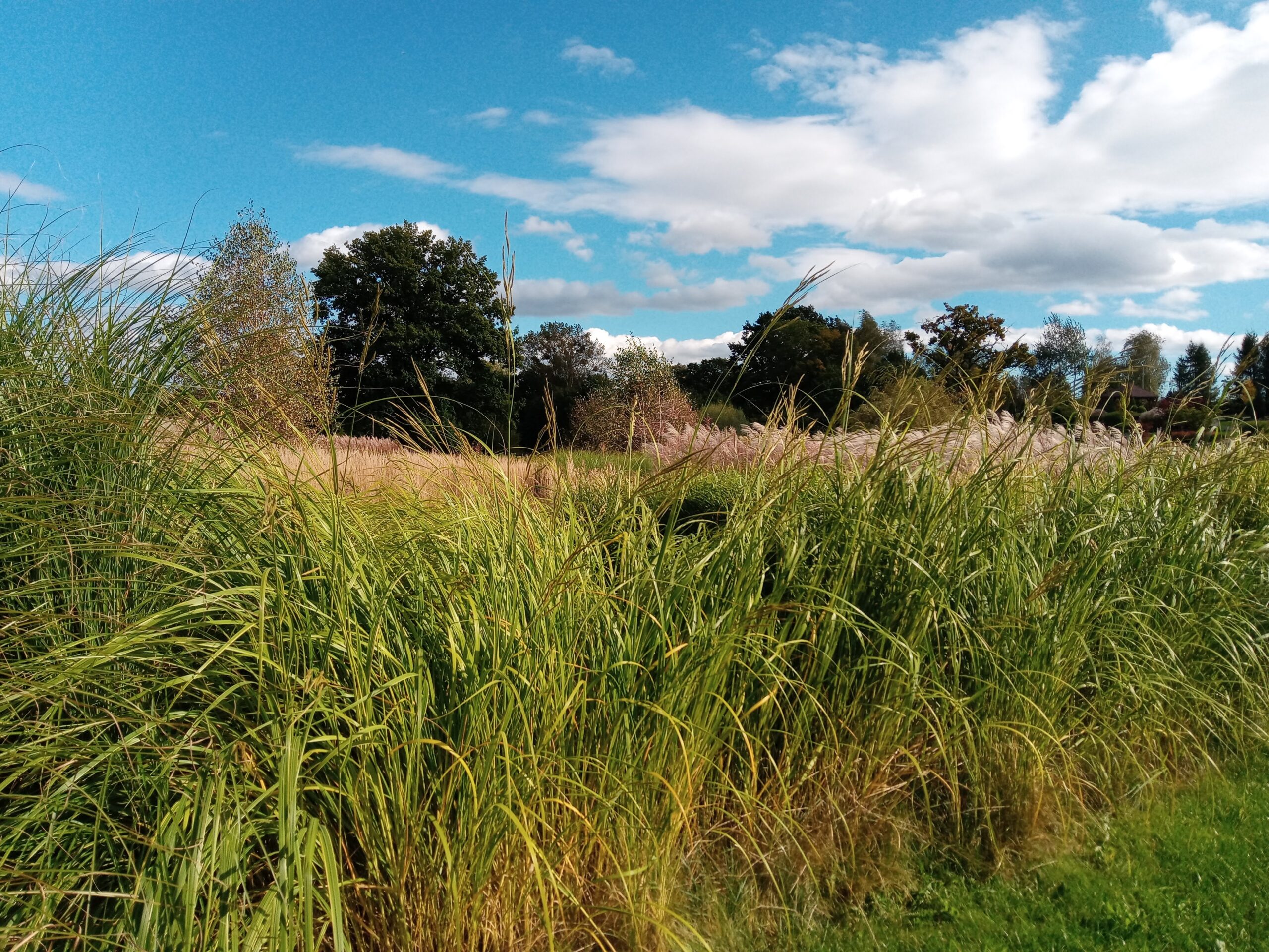 20201004_134509_HDR-2